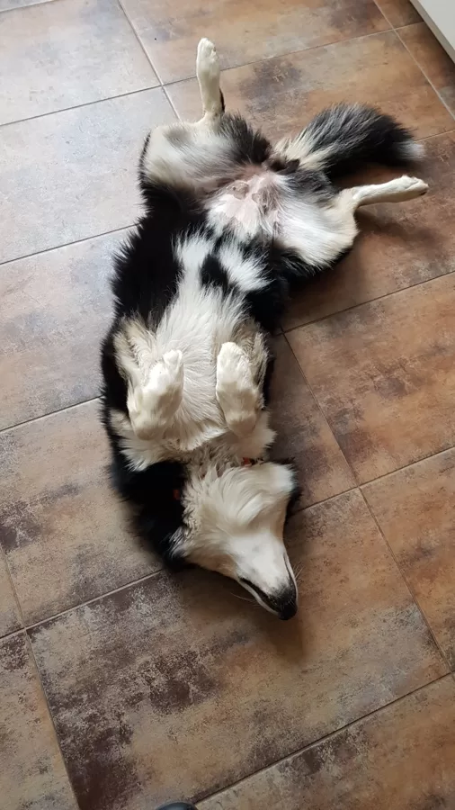 En mode détente