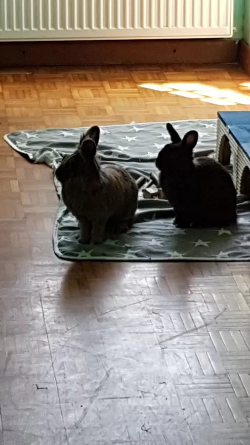 Les petites pièces